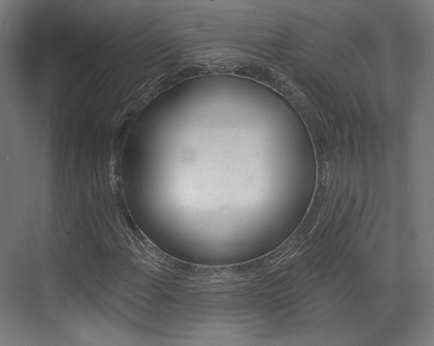 X0000074041108200608211155