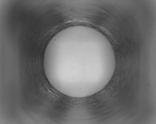 X0000074041110200608211155