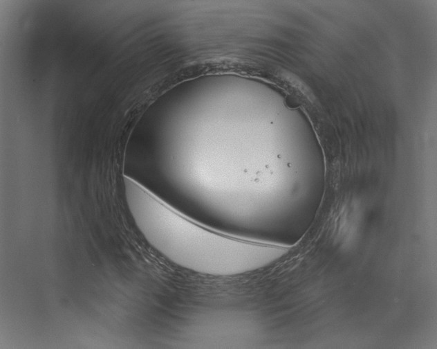 X0000074041111200608211155