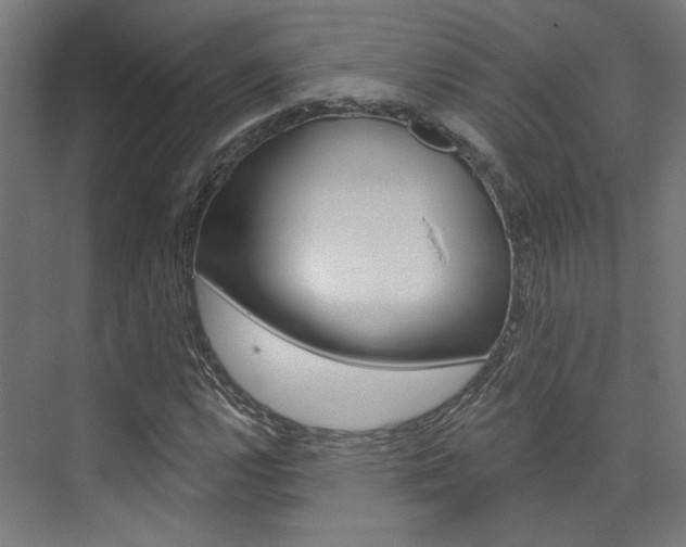 X0000074041112200608211155