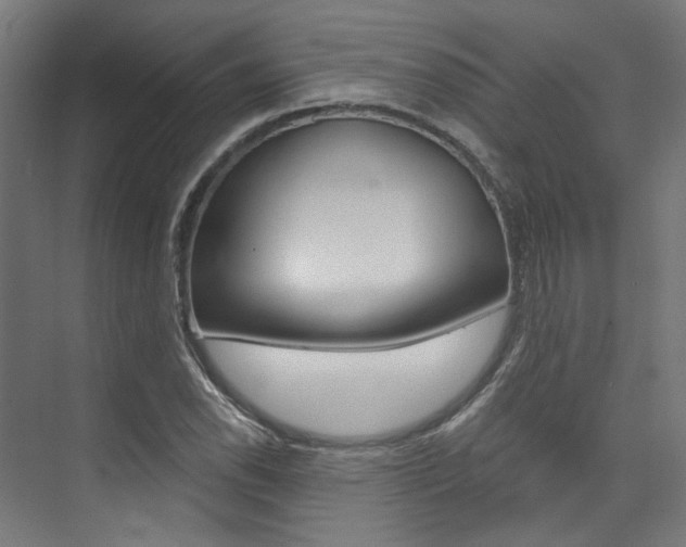 X0000074041118200608211155