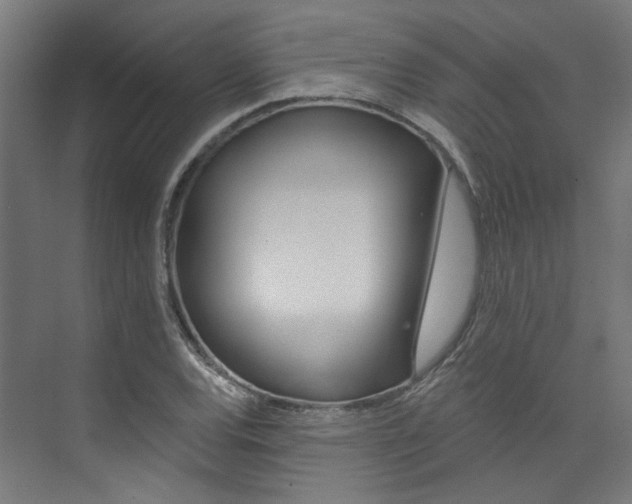 X0000074041120200608211155
