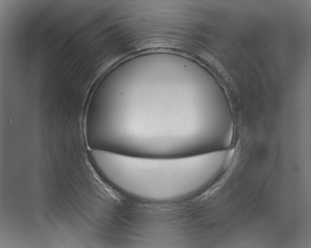 X0000074041121200608211155