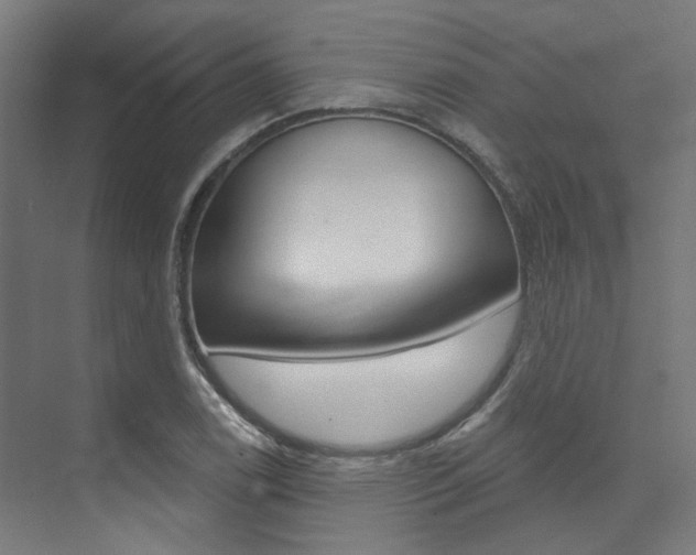 X0000074041122200608211155
