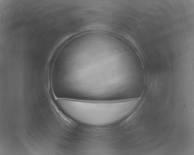 X0000074041123200608211155