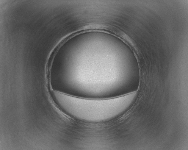 X0000074041124200608211155