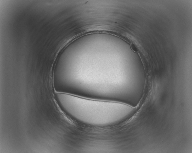 X0000074041129200608211155
