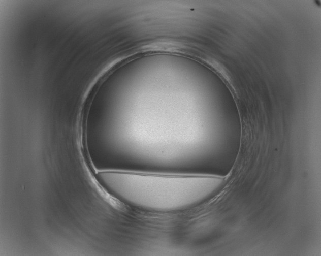X0000074041131200608211155