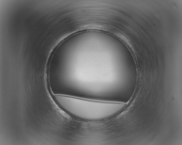 X0000074041133200608211155