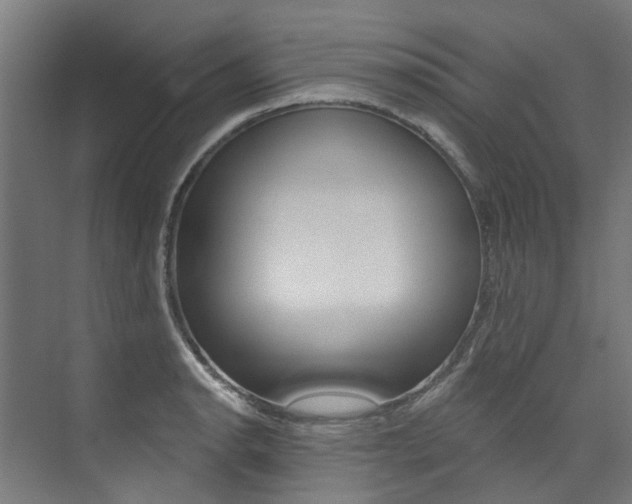 X0000074041134200608211155