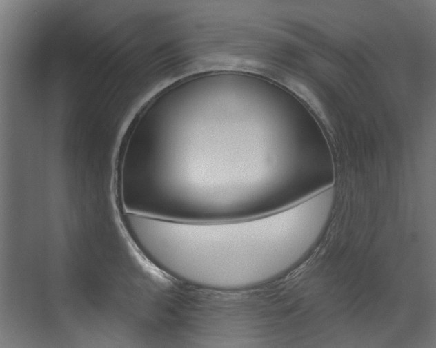 X0000074041136200608211155