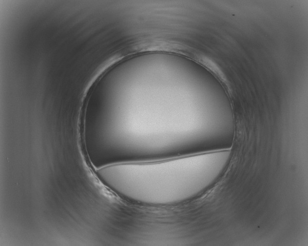 X0000074041138200608211155