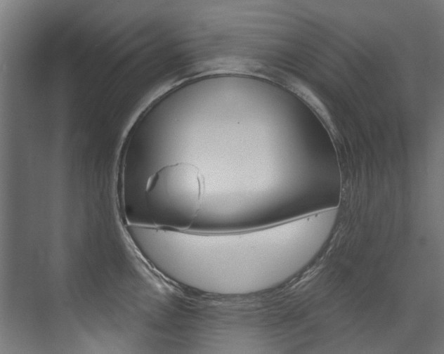 X0000074041146200608211155