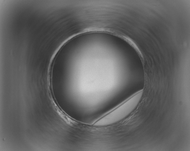 X0000074041148200608211155