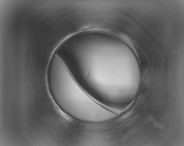 X0000074041149200608211155