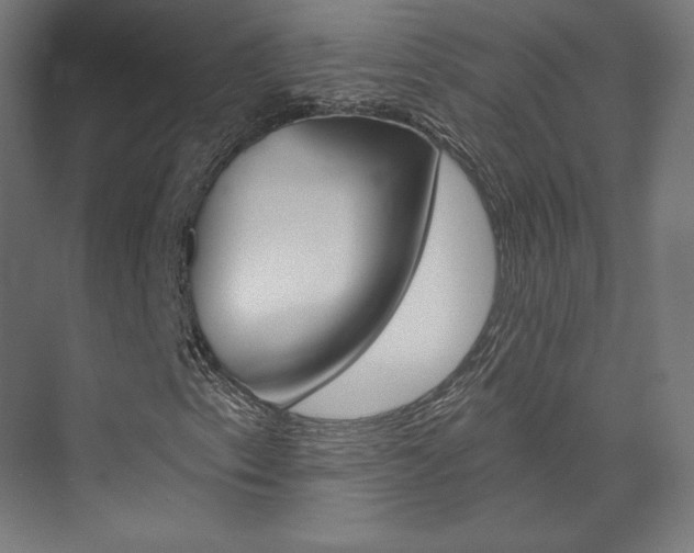 X0000074041153200608211155
