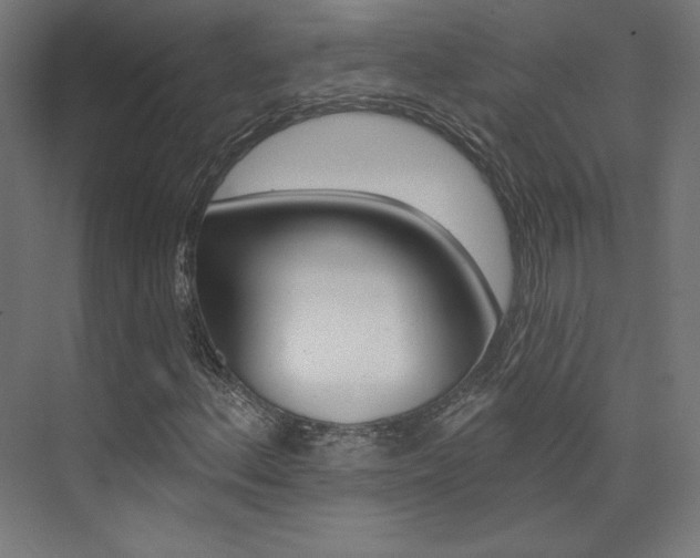 X0000074041156200608211155