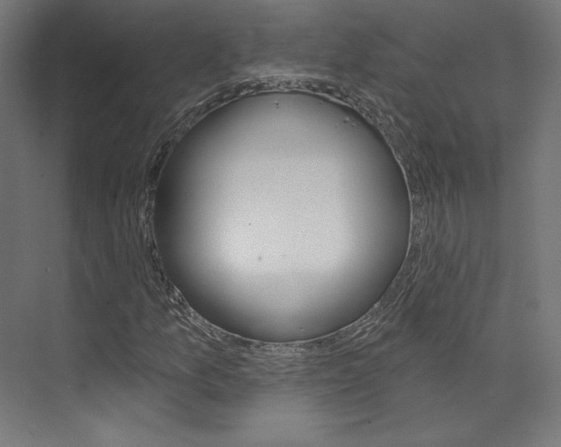 X0000074041157200608211155