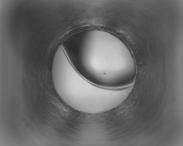 X0000074041159200608211155