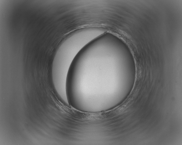X0000074041161200608211155