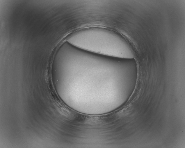 X0000074041162200608211154