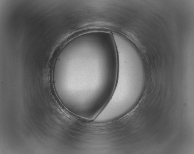 X0000074041164200608211154