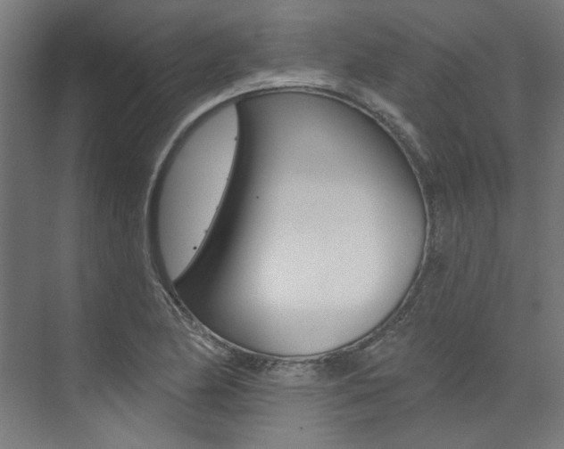 X0000074041174200608211154