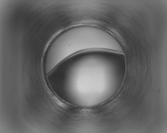 X0000074041180200608211154