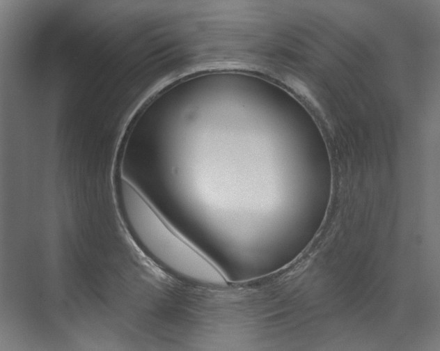 X0000074041181200608211154