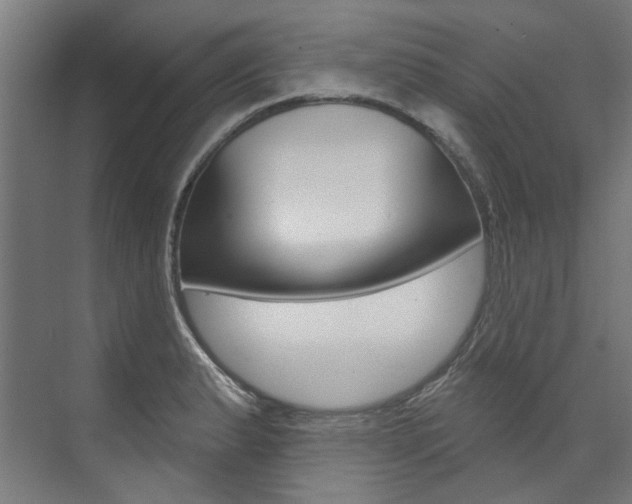 X0000074041183200608211154