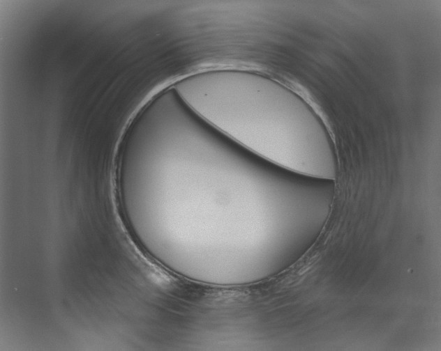 X0000074041187200608211154