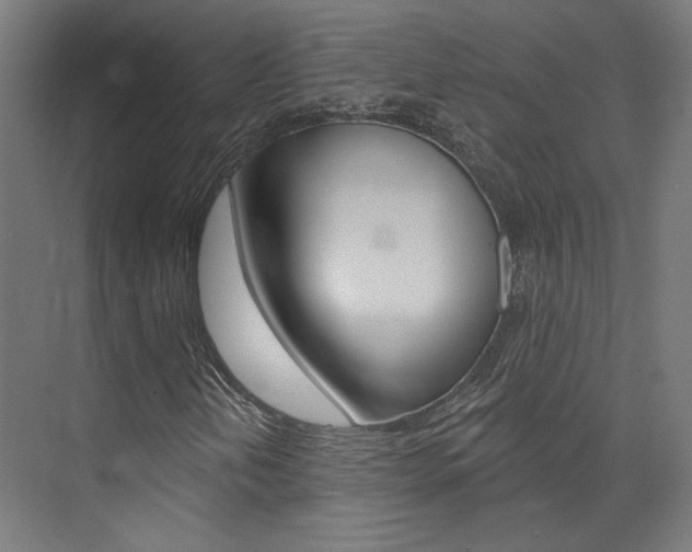 X0000074041202200608211153