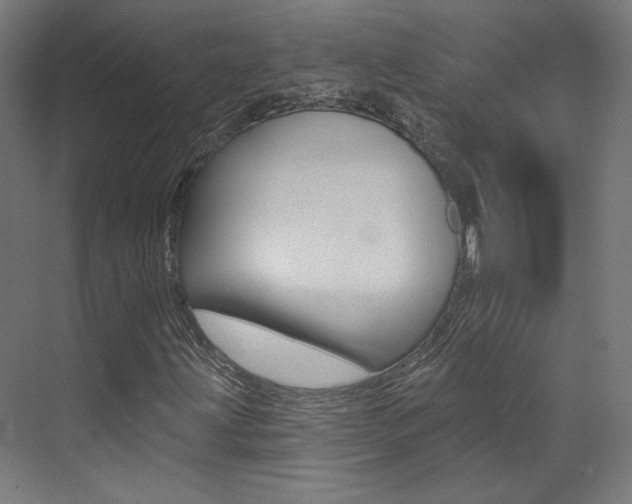 X0000074041203200608211153