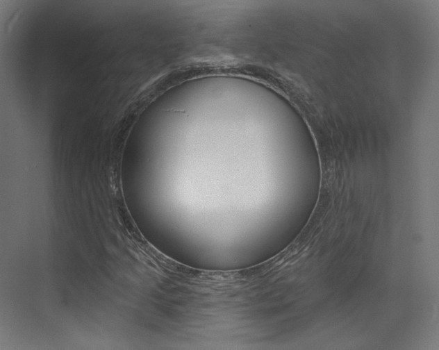 X0000074041205200608211153