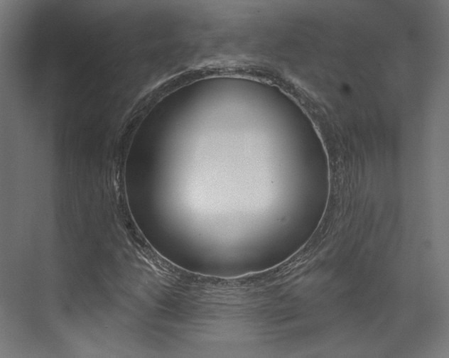 X0000074041206200608211153