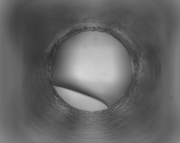 X0000074041207200608211153