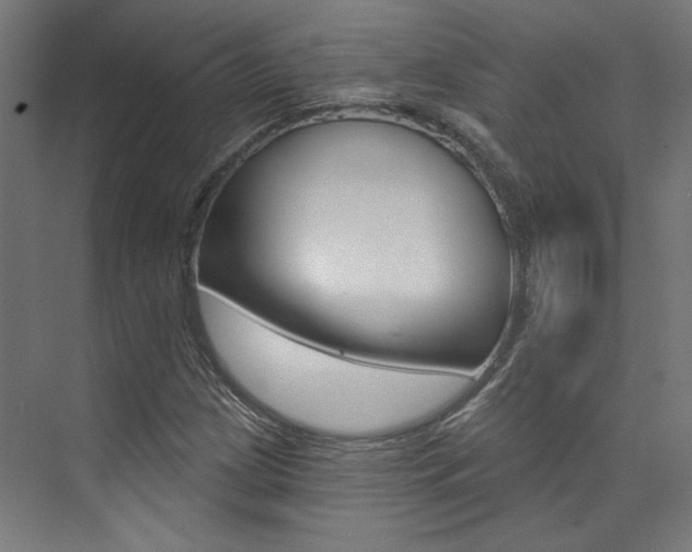 X0000074041209200608211153