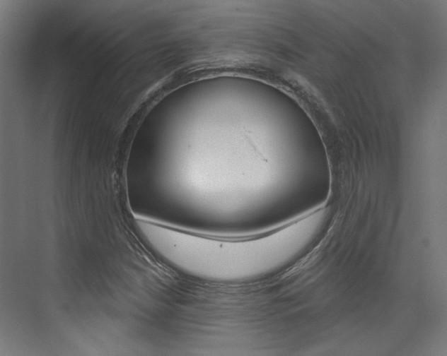 X0000074041210200608211153
