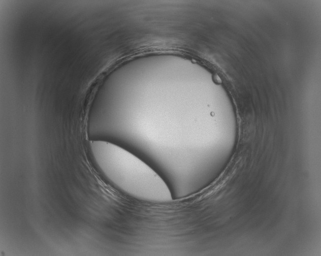 X0000074041211200608211153