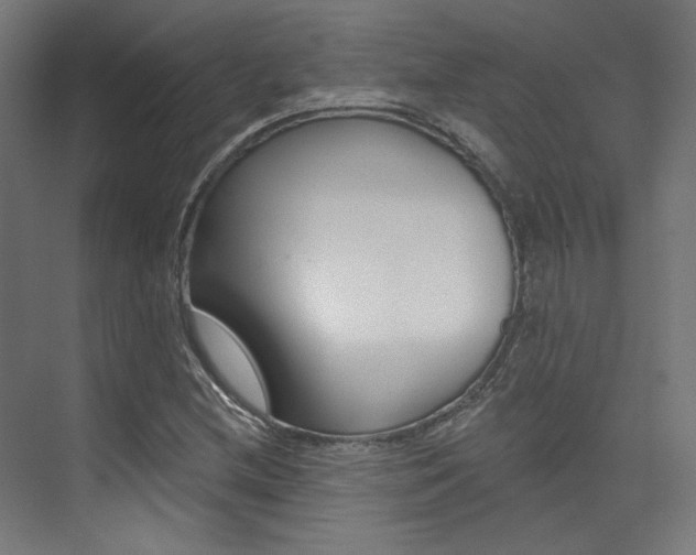 X0000074041212200608211153