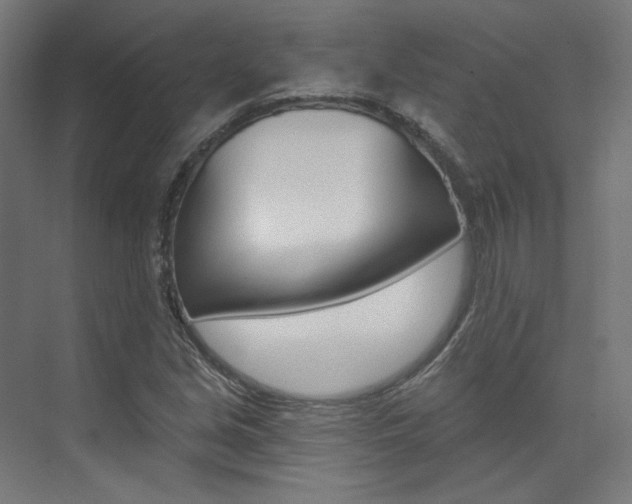 X0000074041213200608211153