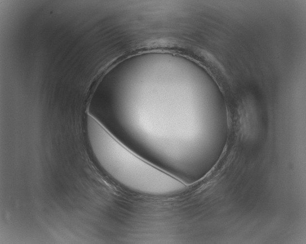 X0000074041217200608211153