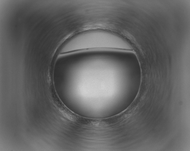 X0000074041218200608211153