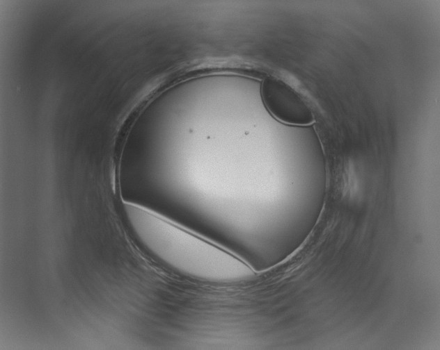 X0000074041221200608211153