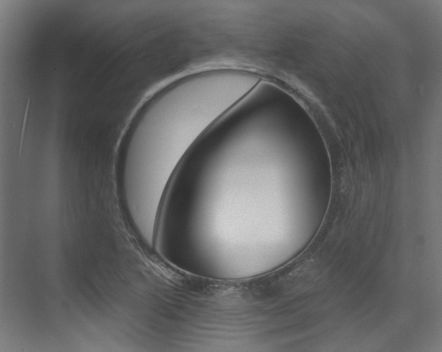 X0000074041222200608211153