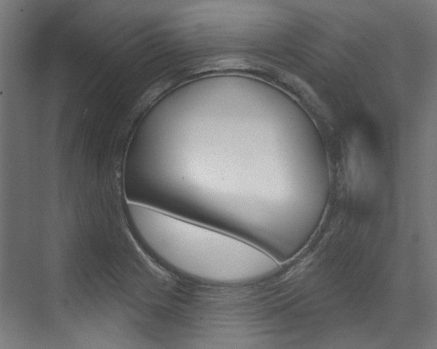 X0000074041225200608211153