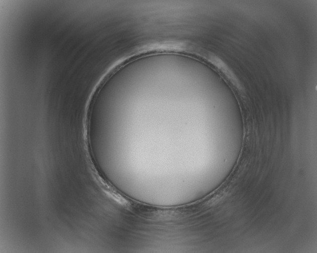 X0000074041232200608211154