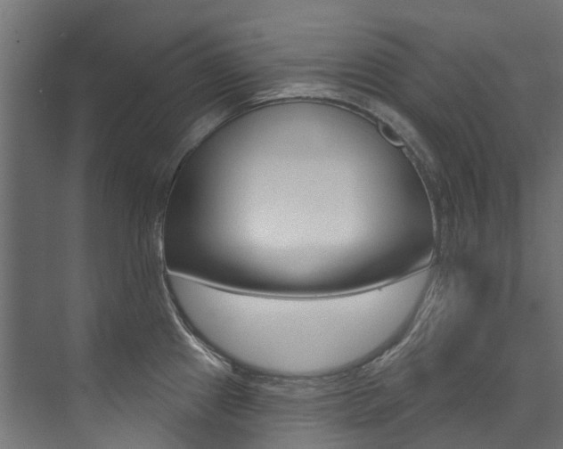 X0000074041241200608211154