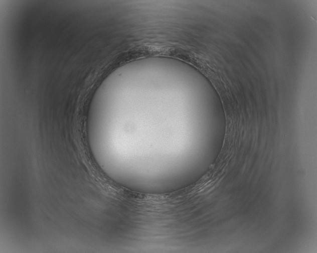 X0000074041249200608211153