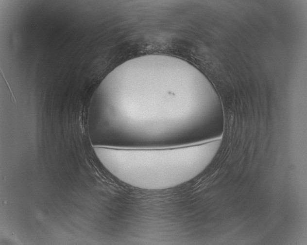X0000074041250200608211153